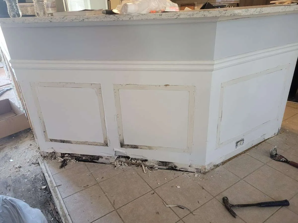 Water damage and mold on kitchen during Sewage Cleanup & Sanitation in Philadelphia